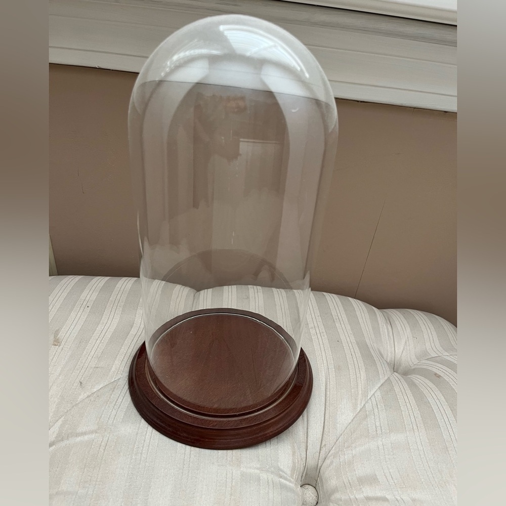Glass Cloche/ doom with Wooden Base